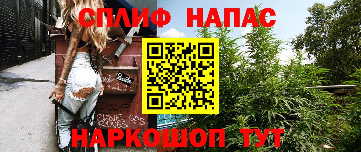 Шишки марихуана MAZAR  Вход с VPN  Марихуана SATIVA & INDICA  МАРИХУАНА OG Kush  Зеленогорск  Шишки марихуана планчик 